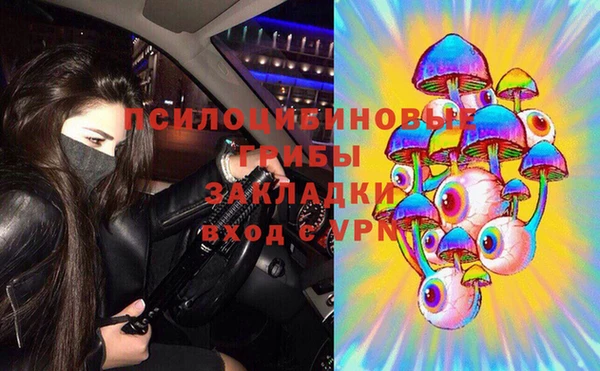 соль ск Аркадак