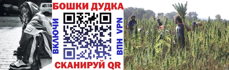 kraken ТОР  Снежногорск  Шишки марихуана гибрид 